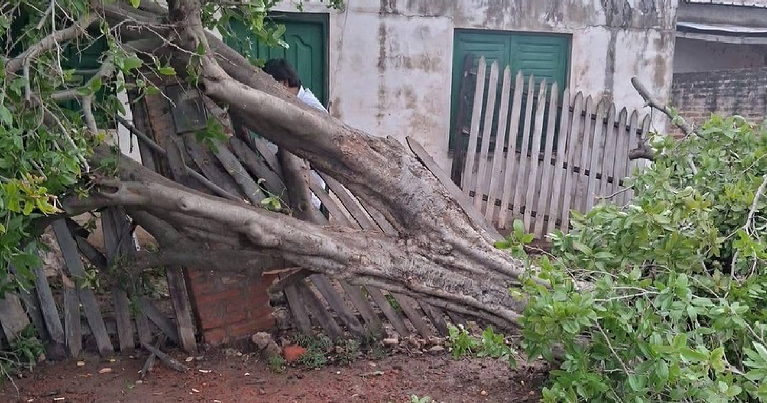 TRAS EL TEMPORAL EN PIRAN REFSA ACUDI A LAS ZONAS MS AFECTADAS