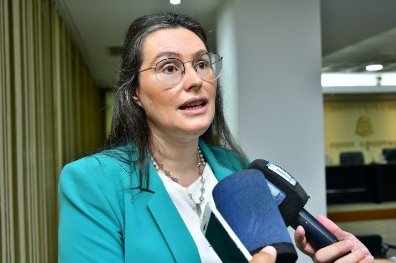 VILLARRUEL AFIRM&Oacute; QUE FORMOSA TIENE LA TARIFA EL&Eacute;CTRICA M&Aacute;S COMPETITIVA DEL PA&Iacute;S Y ATRIBUY&Oacute; LOS AUMENTOS AL GOBIERNO NACIONAL